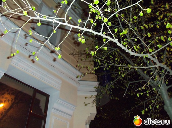 6 фото: Ночной Киев. Весна. Апрель-май.2012