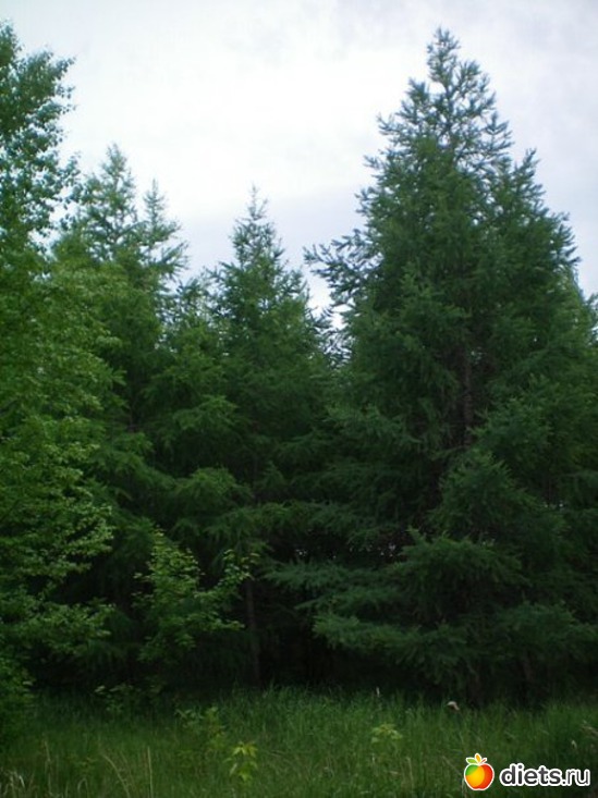 6 ����: �������