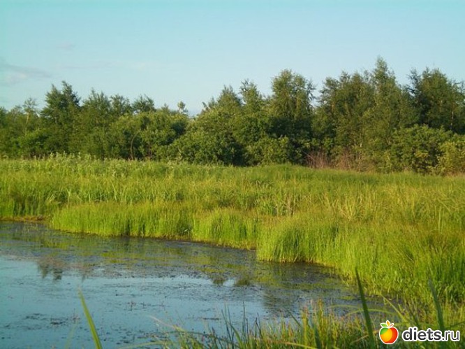 7 ����: �������