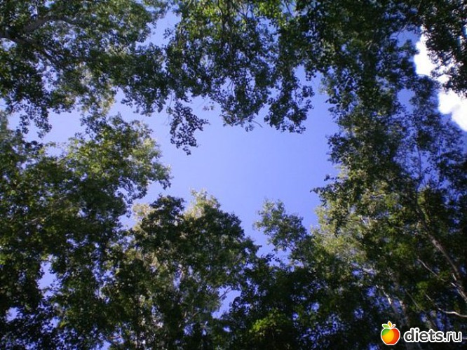 8 фото: Природа