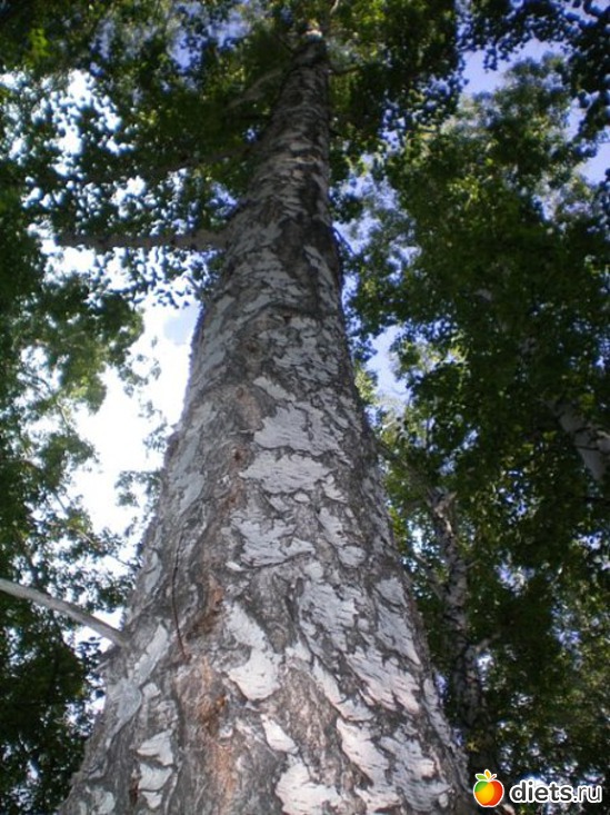 9 ����: �������