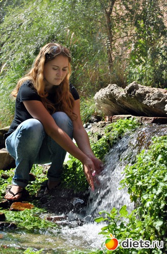 5 ����: �������