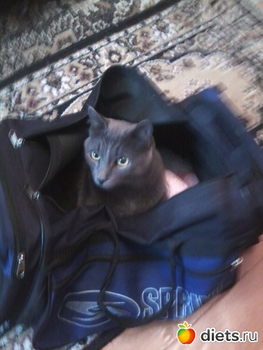 1 ����: ��� ����))