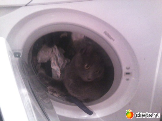 6 ����: ��� ����))