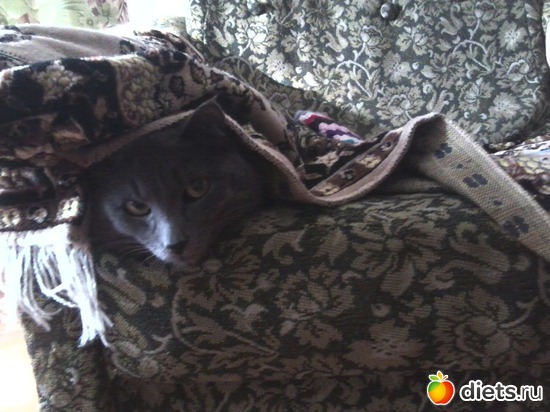 8 ����: ��� ����))