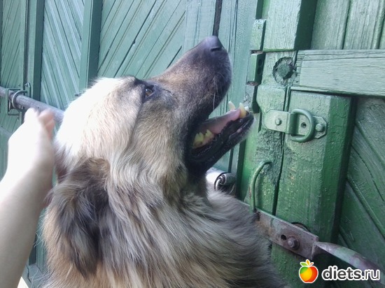 2 ����: ��� ������))