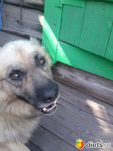 3 ����: ��� ������))