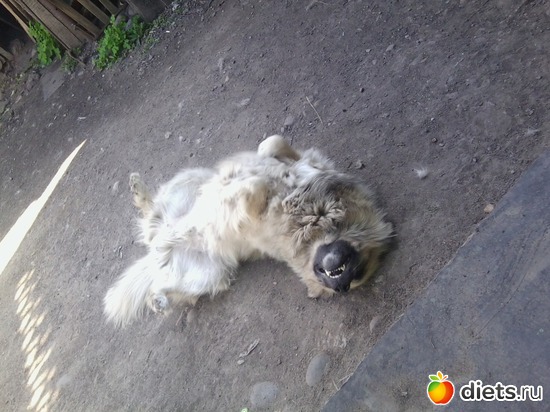 4 ����: ��� ������))