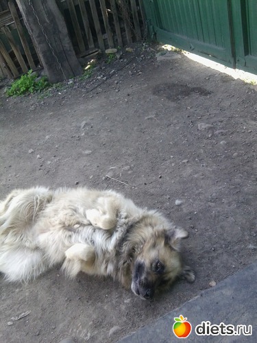 5 ����: ��� ������))