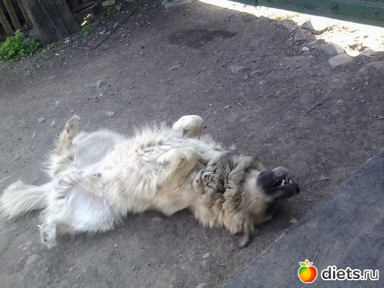 6 ����: ��� ������))