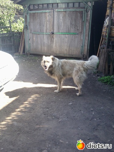 7 ����: ��� ������))