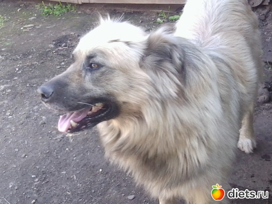 9 ����: ��� ������))