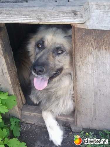 11 ����: ��� ������))