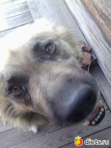 12 ����: ��� ������))