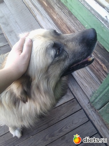 13 ����: ��� ������))