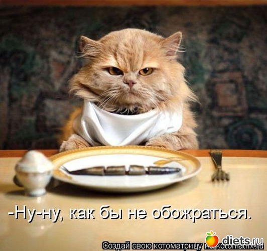 34 ����: �������