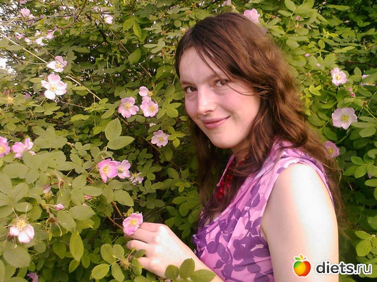 Дикие розочки