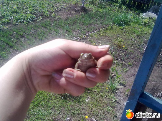 лягуха)))), альбом: всякое