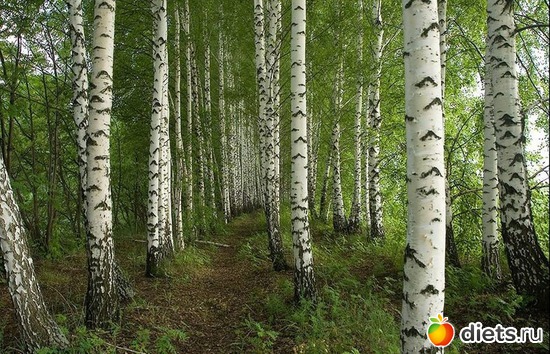 13 ����: � ���� ���� ��� ���������!!!!!!