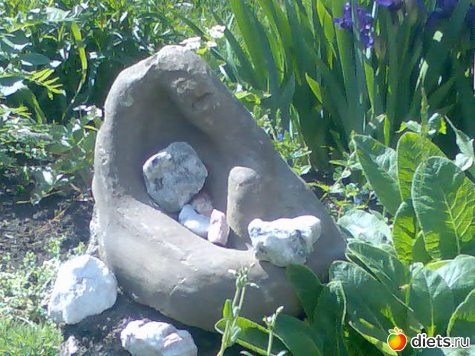 1 ����: ���� �� ����