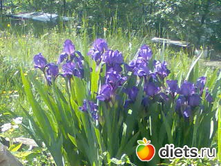 ���� �� ����