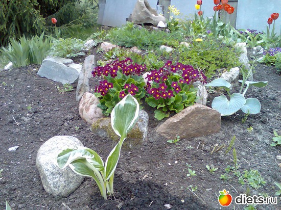 3 ����: ���� �� ����