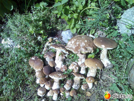 4 ����: ���� �� ����