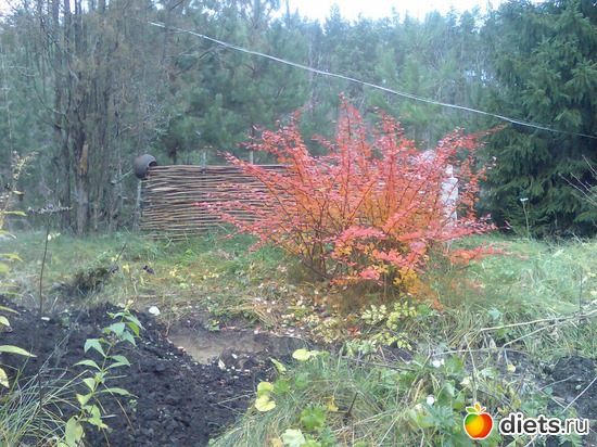 6 ����: ���� �� ����