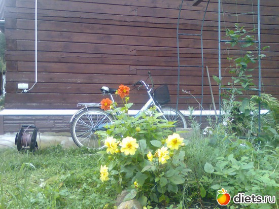 7 ����: ���� �� ����