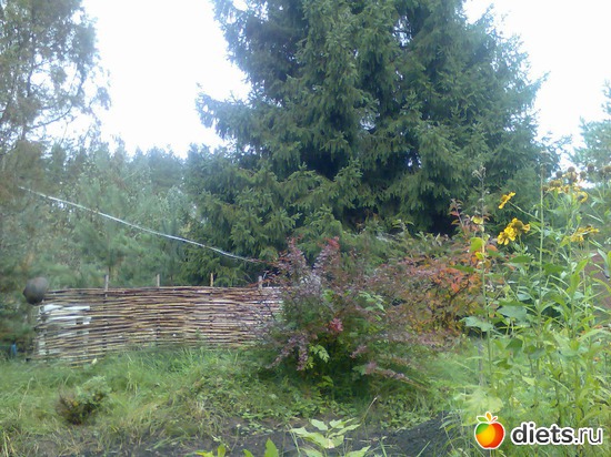 8 ����: ���� �� ����