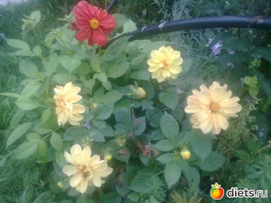 11 ����: ���� �� ����