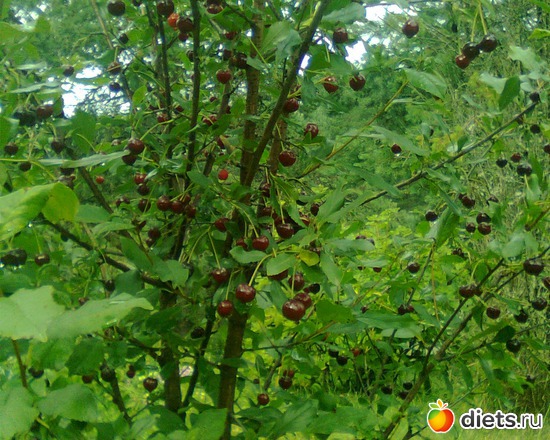 13 ����: ���� �� ����