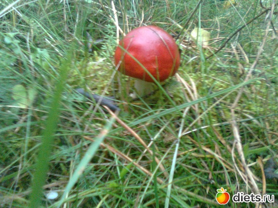 14 ����: ���� �� ����