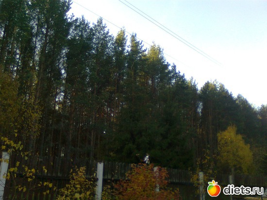 15 ����: ���� �� ����