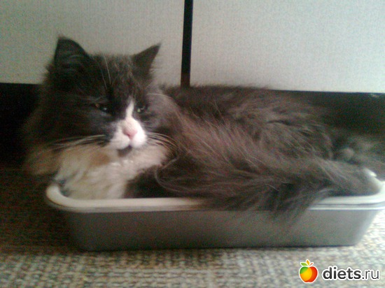 ������, ����� � ��� ��������, ������: ��� ������������ ������