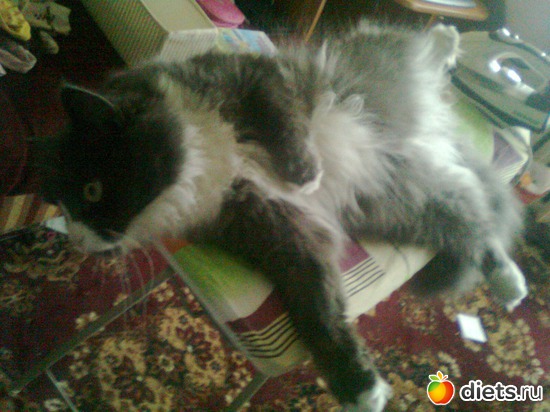 ����� �� ���������� �����, ������: ��� ������������ ������