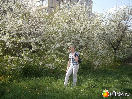 83 ����: � � �� ������