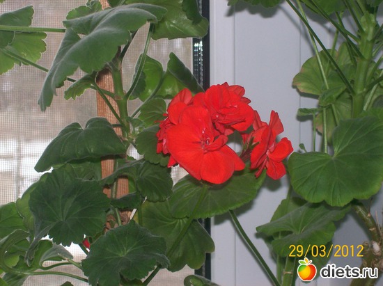 7 ����: ��������