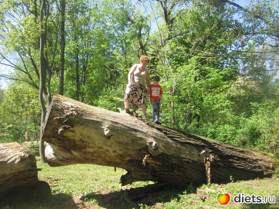 ����� ����� ������ ����, ������: ����� 2012,��������� ����