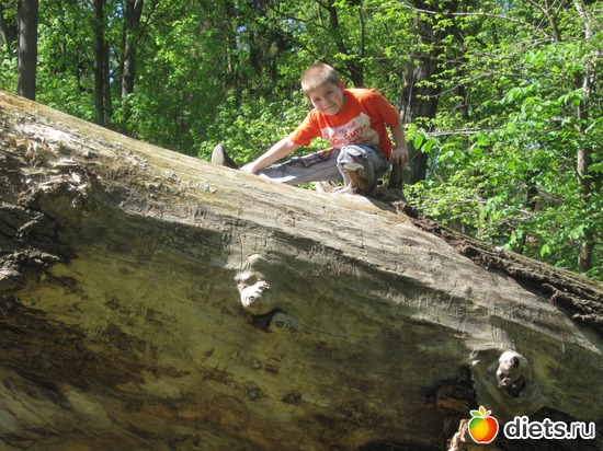 11 ����: ����� 2012,��������� ����