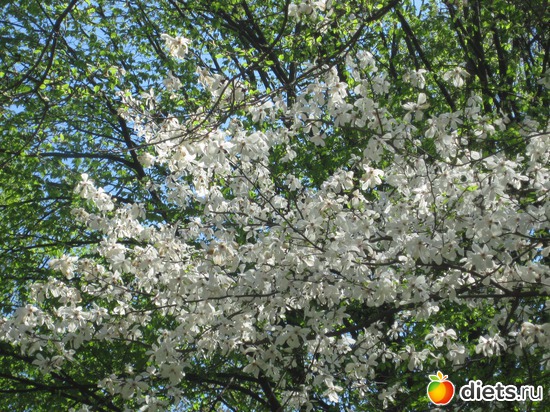 ������� �����!!!!!!!!!!!!!!!!!!!, ������: ����� 2012,��������� ����