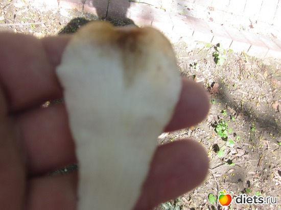 �������� �������......., ������: ����� 2012,��������� ����