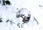 Я просыпаюсь от спячки...