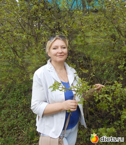 33 ����: ��� �