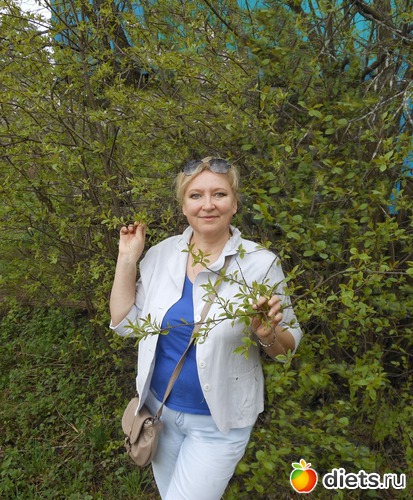 34 ����: ��� �