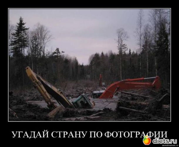 11 фото: сургут