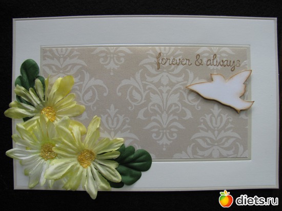 1 фото: Мои открытки