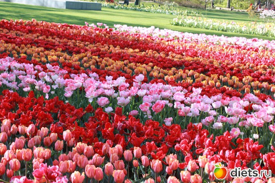 20 ����: ������� �����