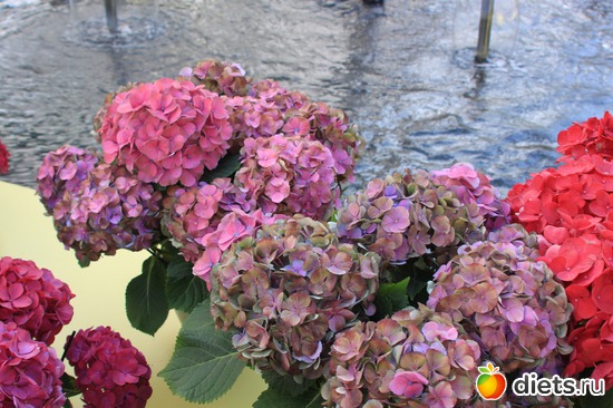 21 ����: ������� �����