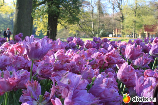 24 ����: ������� �����